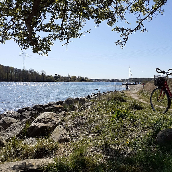 salsa journeyman gravel bike Adventure – Journeyer SORA 2x9 – Salsa Cycles Backpacks and Bags Farbe:Pop Black White Matt which provides not only Otinga Shiny Flip V3