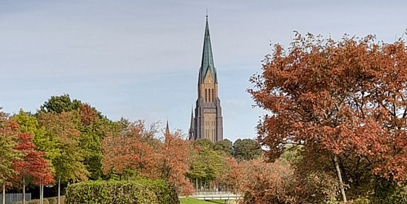 Schleswiger Dom im Herbst